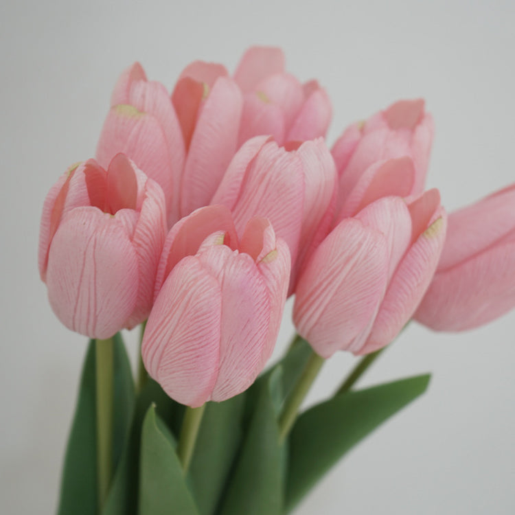 Tulip Symphony light pink