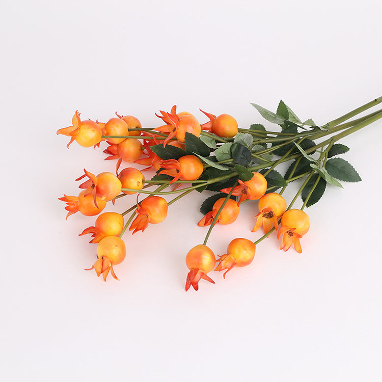 Rosehip Berry orange