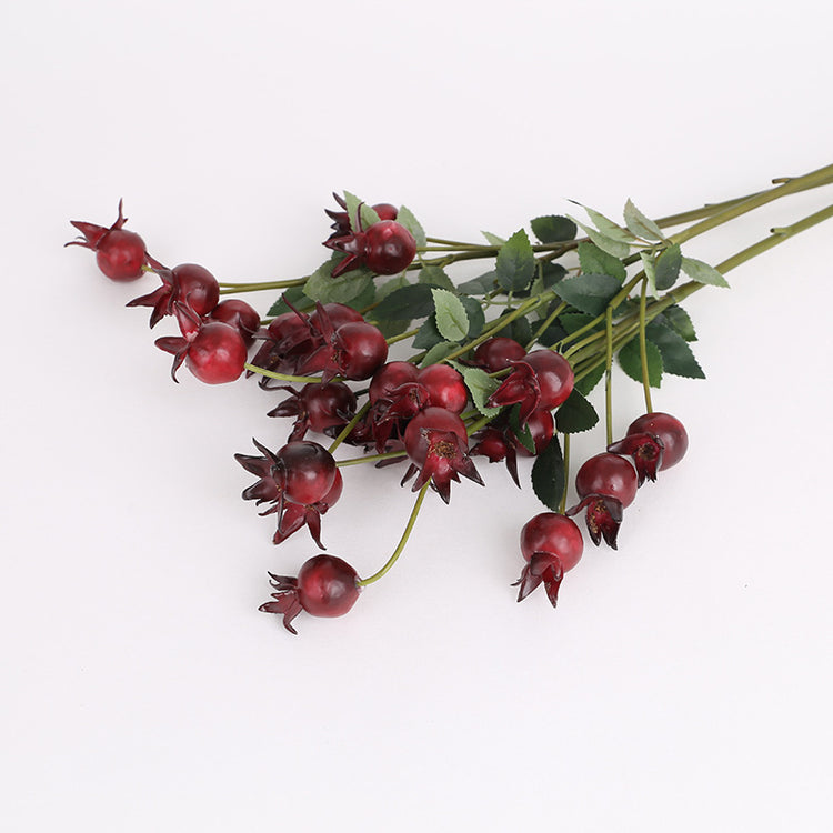 Rosehip Berry red