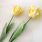 Realistic Fringed Faux Flower Moisture-Touch Parrot Tulip
