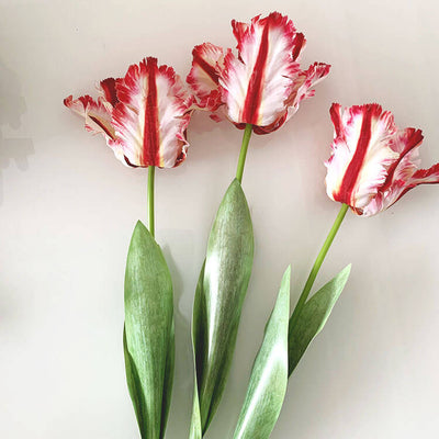 Realistic Fringed Faux Flower Moisture-Touch Parrot Tulip