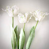 Realistic Fringed Faux Flower Moisture-Touch Parrot Tulip