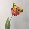 Realistic Fringed Faux Flower Moisture-Touch Parrot Tulip