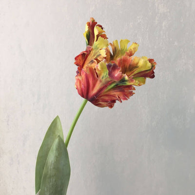 Realistic Fringed Faux Flower Moisture-Touch Parrot Tulip