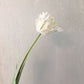 Realistic Fringed Faux Flower Moisture-Touch Parrot Tulip