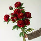 5 Stems of Bright Red Peony