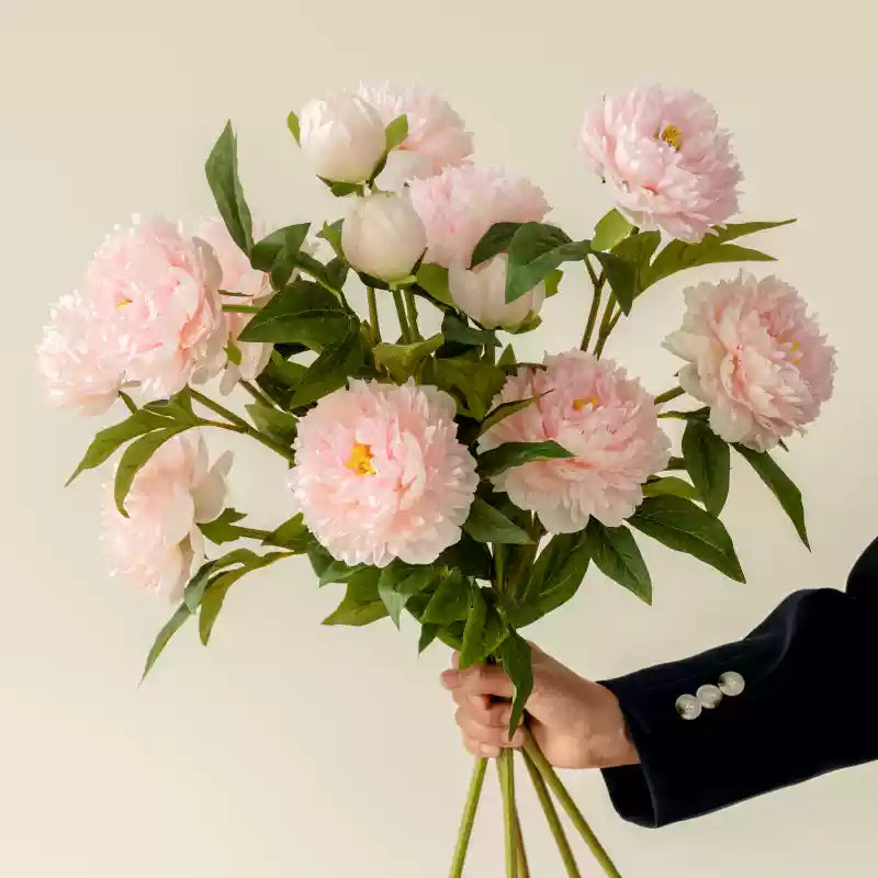 5 Stems of Deep Pink Peony