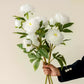 3 Stems of White Peony