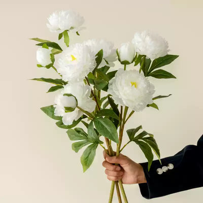 3 Stems of White Peony