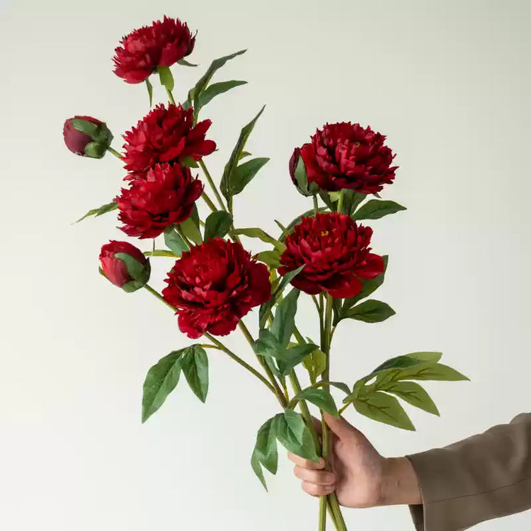 3 Stems of Bright Red Peony