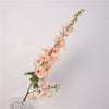 Sparrow Flower orange