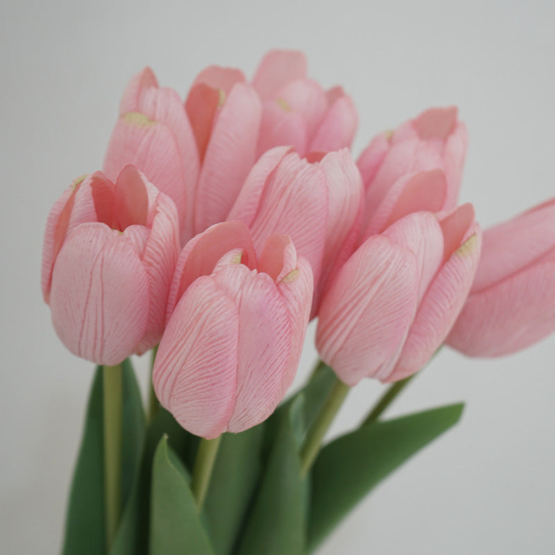Tulip Symphony light pink
