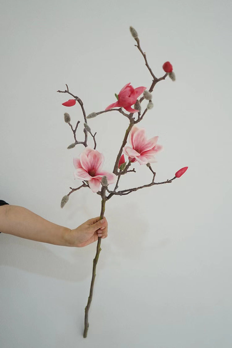 Magnolia