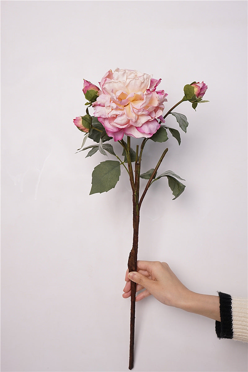 Peony Artifici 