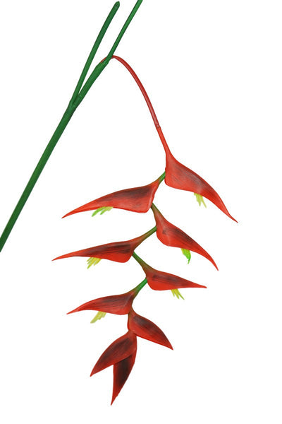 Strelitzia reginae artificial silk flower florist Gradual Change Party