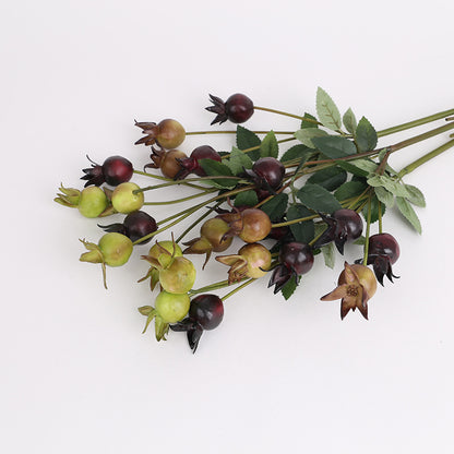 Rosehip Berry  coffee green