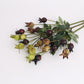 Rosehip Berry  coffee green