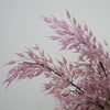 Oat Artificial purple
