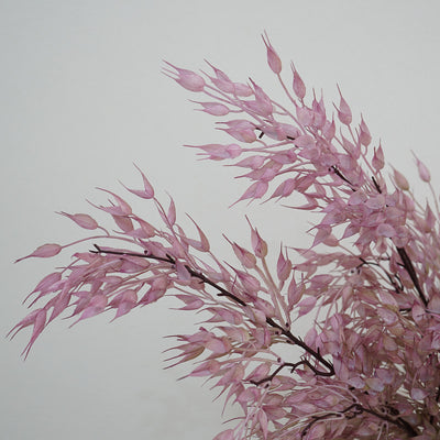 Oat Artificial purple