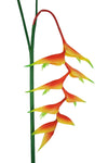 Strelitzia reginae artificial silk flower florist Gradual Change Party