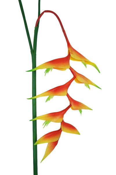 Strelitzia reginae artificial silk flower florist Gradual Change Party