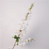 Sparrow Flower white