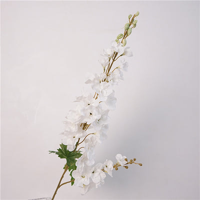 Sparrow Flower white