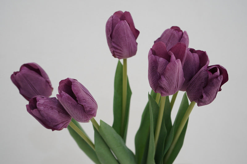 Tulip Symphony purple-gray