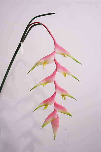 Strelitzia reginae artificial silk flower florist Gradual Change Party