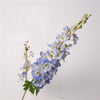 Sparrow Flower