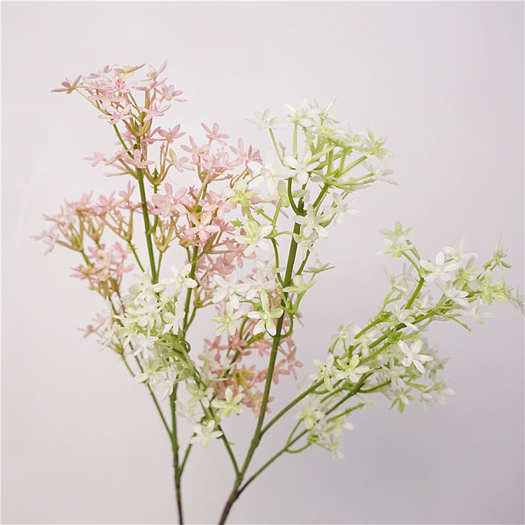 Pink White Ros 
