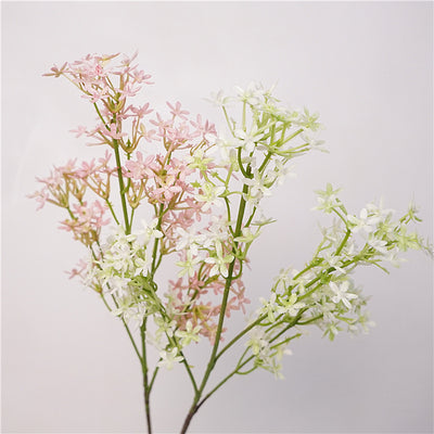Pink White Ros