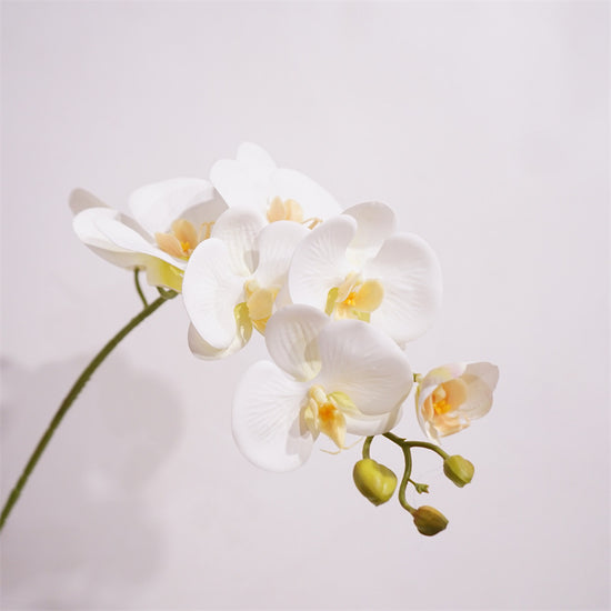 Moth Orchids Artificial Plant