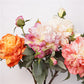 Peony Artifici 